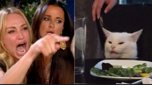 Netizens Create Own Version Of Meme: ‘Women Yelling At Cat’