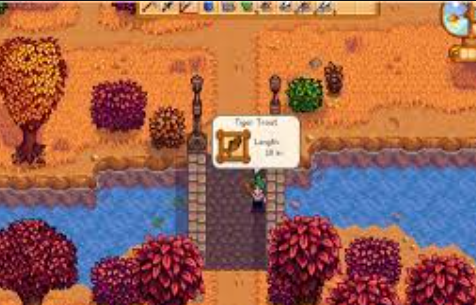 Stardew Valley Tiger Trout- How to Succeed in Catching It?