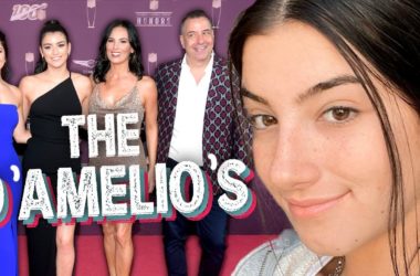 The D'Amelios Show