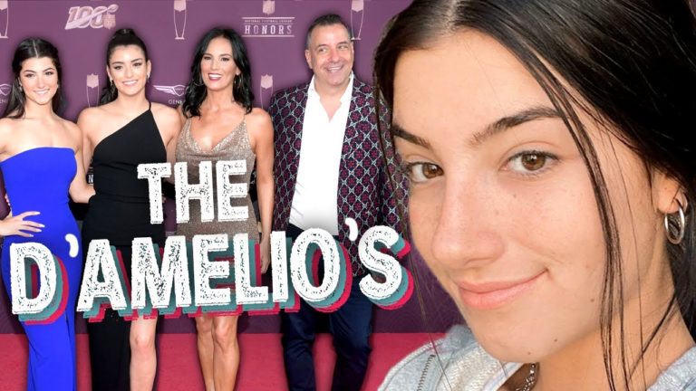 The D’Amelios Show: Everything We Know About It