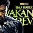 Release Date Of Black Panther: Wakanda Forever