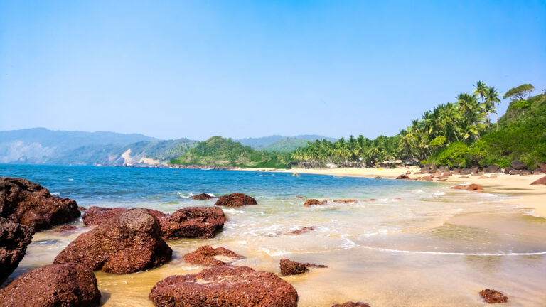 What Makes Goa a Good Holiday Destination?