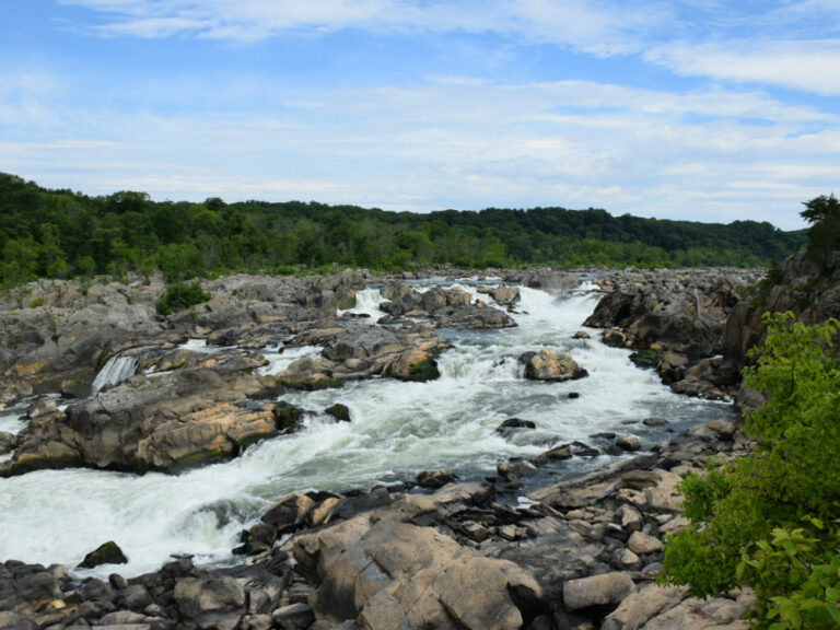 Daily drought monitoring to start at Potomac River. What does it mean for our water use?