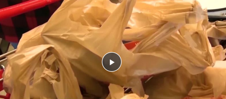 Anne Arundel County Council Votes to Ban Plastic Bags