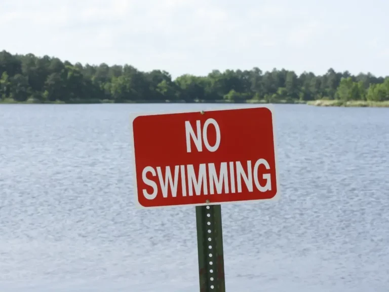 Maryland’s Waterways: How Safe Are They for Swimming and Boating?