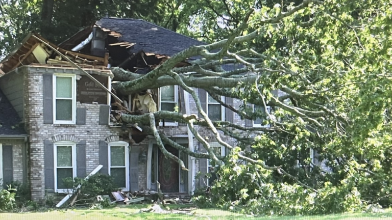 After Severe Thunderstorm, Germantown Home Nearly Split in Half by Fallen Tree