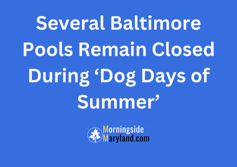 Several Baltimore Pools Remain Closed During ‘Dog Days of Summer’