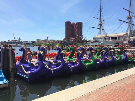 things to do in Baltimore’s inner harbor for couples