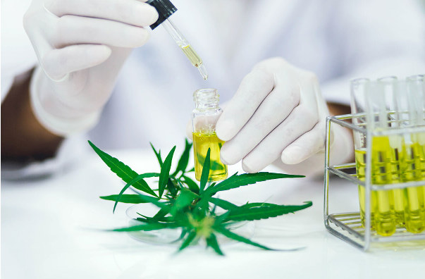 The Different Uses Of CBD And Their Beneficial Effects