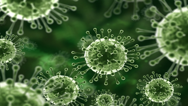 The Nipah Virus: A Deadly Threat