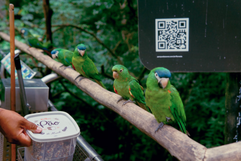 QR Codes for a Greener Future