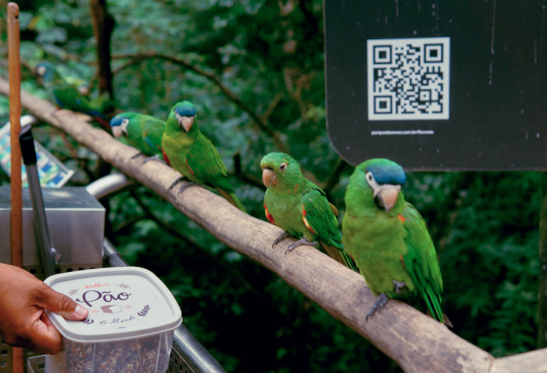 QR Codes for a Greener Future