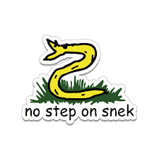 No Step On Snek- What’s the Hype Going About It?